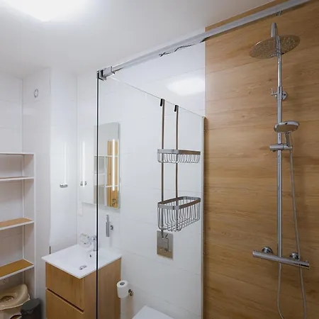 Apartman B-208 Brezovina