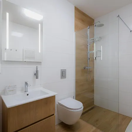 B-208 Brezovina Apartman *