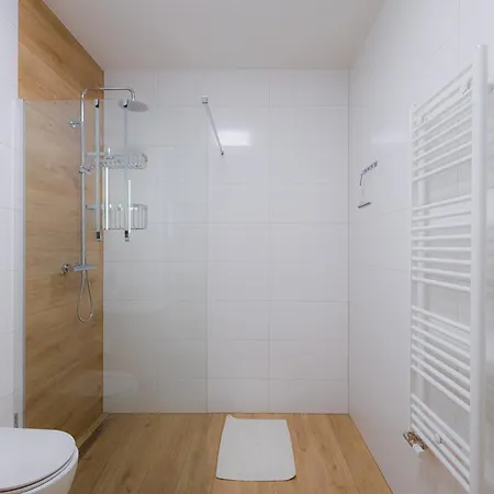 Apartman B-208 Brezovina