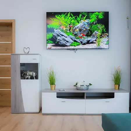 B-208 Brezovina Apartman *