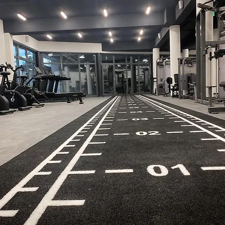 B-208 Brezovina Apartman *