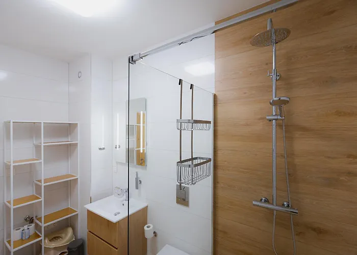 Apartment B-208 Brezovina