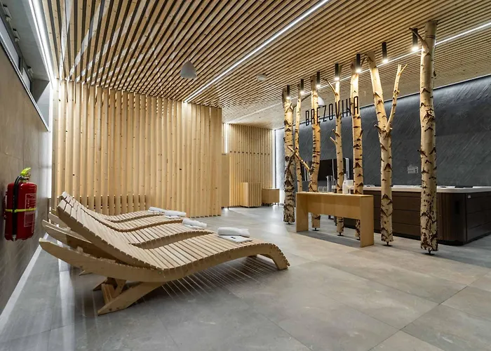 B-208 Brezovina Oravske Vesele