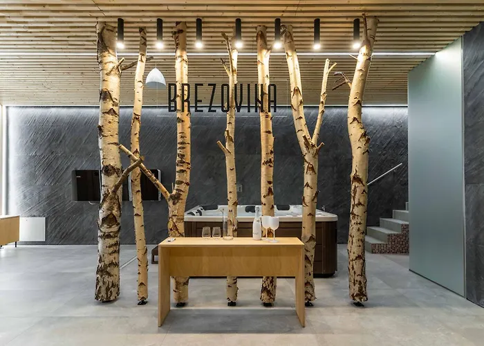 B-208 Brezovina Lejlighed Oravske Vesele