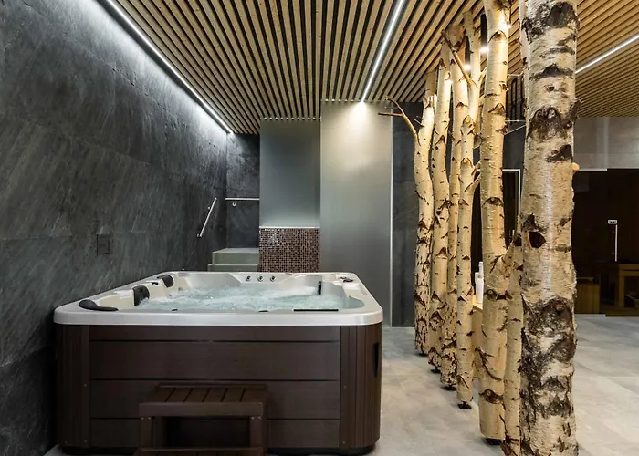 B-208 Brezovina * Oravske Vesele